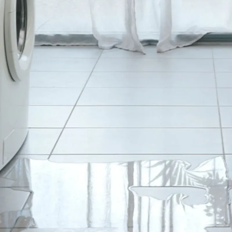 Appliance Leak Cleanup in Richmond, IL