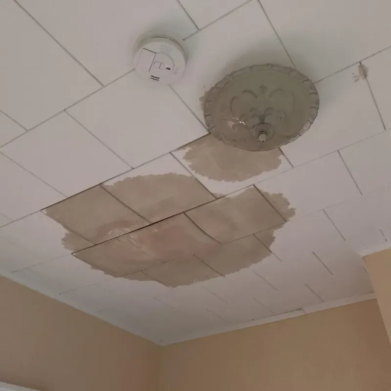 Ceiling Water Damage Repair in Richmond, IL