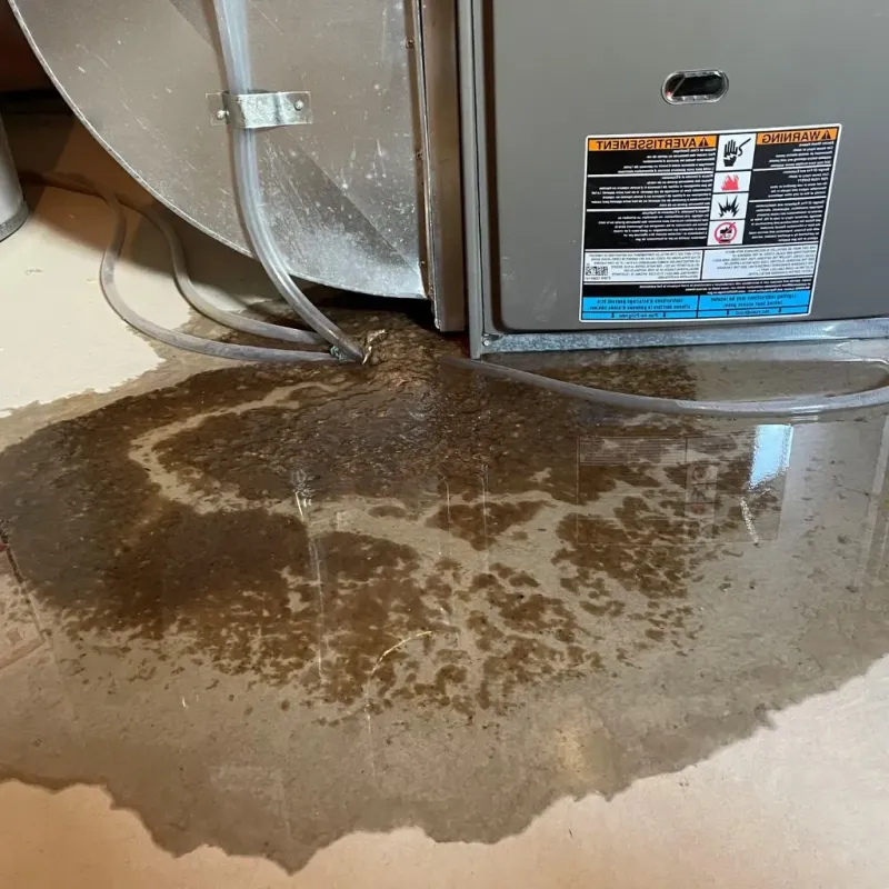 Pipe Burst and Leak Restoration in Richmond, IL