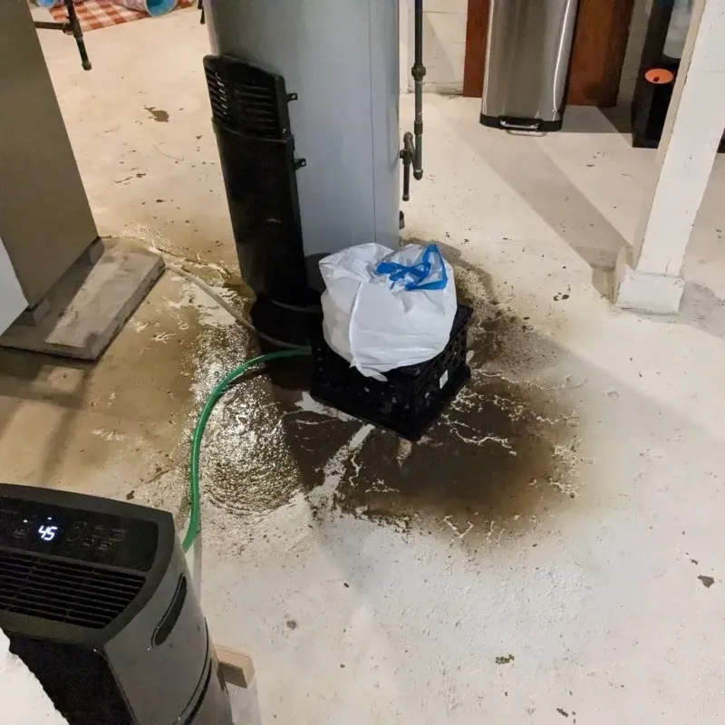 Sewage Backup Cleanup Service in Richmond, IL